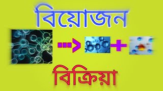 বিয়োজন বিক্রিয়া কি? শর্টকাট নমুনা বিক্রিয়া। Decomposition Reaction is? Best Reaction example ever