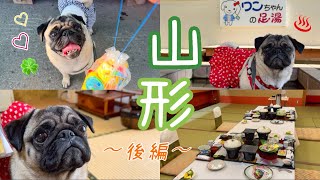 【山形】赤湯温泉♨️丹泉ホテル🐶🍀#パグ #わんこ #ペット可 #鼻ぺちゃ #犬連れ #pug #dog #animal #いぬのいる生活 #わんことおでかけ #犬旅