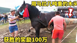 用马拉几吨重的木头奔跑，获胜的奖励100万，外国朋友真会玩！ 1