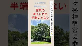 都内最大級の神宮勧請のおやしろ！阿佐ヶ谷神明宮に参拝🙏 #Shorts #パワースポット