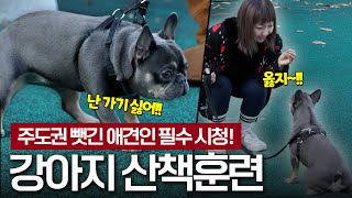 줄 당기는 강아지랑 산책하는 방법?! 강아지 산책훈련🐕 | 혼자 더하기