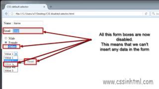 CSS :disabled selector