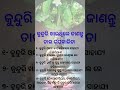 କୁନ୍ଦୁରି ଖାଉଥିଲେ ଉଭୟ ପୁରୁଷ ଏବଂ ସ୍ତ୍ରୀ ମାନେ ଜାଣନ୍ତୁ shortsfeed motivation quotes shorts