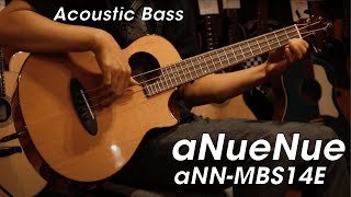 aNueNue aNN-MBS14E Demo - Acoustic Mini Bass