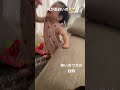 笑いのツボ【生後11ヶ月】laughter points（japanese baby ） 赤ちゃん baby 可愛い cute 癒し 育児 childcare 子育て