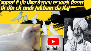 ਕਬੂਤਰਾਂ ਦੇ ਨਜ਼ਲੇ ਤੇ ਮੂੰਹ ਪੱਕੇ ਦਾ 100% ਇਲਾਜ|nak cho pani te ghla ik din ch thik