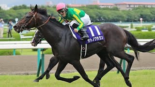 第５８回宝塚記念 （ＧⅠ）　サトノクラウン　牡５　58　M.デムーロ　2017.6.25　出走馬：ゴールドアクター、ミッキークイーン、シャケトラ、ミッキーロケット、シュヴァルグラン、キタサンブラック他