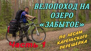 Велопоход по лесам карельского перешейка на озеро 🔹ЗАБЫТОЕ 🔹 часть 1.