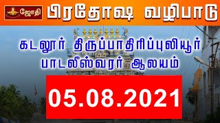 CUDDALORE TIRUPADRIPULYUR | கடலூர் திருப்பாதிரிப்புலியூர் பாடலீஸ்வரர் ஆலயம் - பிரதோஷ வழிபாடு