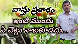 ఇంట్లో చెట్లకు వాస్తు అవసరం....