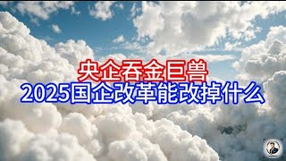 【Boss雜談】央企吞金巨兽，2025国企改革能改掉什么