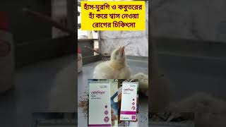 হাঁস মুরগি ও কবুতরের হাঁ করে শ্বাস নেওয়া রোগের সঠিক চিকিৎসা #bird #chicken #duck #pigeon #treatment