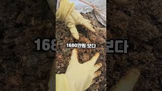 고단백질 어분으로 효율적인 농업 경영