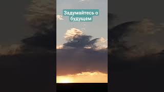 Задумайтесь о будущем