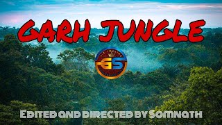 GARH JUNGLE ||SHYAMA RUPA MANDIR ||Maharshi Medhashram #vlog