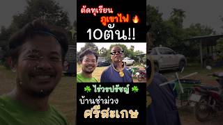 พาไปลุยตัดทุเรียนภูเขาไฟ 10 ตัน!! #ทุเรียนภูเขาไฟศรีสะเกษ #ไร่วรปรัชญ์