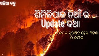 ଶିମିଳିପାଳ ରେ ନିଆଁ | କେମିତି ସୁରକ୍ଷିତ ହେବ ଓଡିଶା ର ଜଙ୍ଗଲ | Fire on Similipal