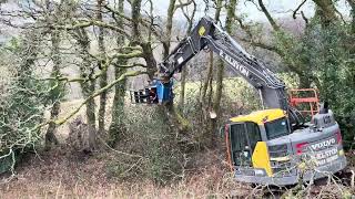 THATS A LOT OF WOOD! ATTACKING HEDGES