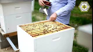 Bee package Install - Basic Checklist #beekeeping #beekeeper