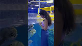 Dubai aquarium underwater zoo #shorts #varshasinghrajput #dubaivlog
