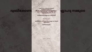 പരിഹാസം അവഗണനകൾ കുത്ത് വാക്കുകൾ ജീവിതം മടുത്തെന്ന് തോന്നിതുടങ്ങിയോ എല്ലാവരുമുണ്ടായിട്ടും ആരുമില്ല