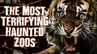 TOP 5 Most Haunted \u0026 Scary Zoos Filled With Ghosts of People \u0026 Animals