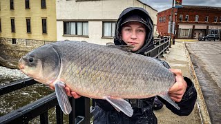 Monster Bigmouth Buffalo on Lures! (Spring Run)