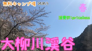 無料キャンプ場　大柳川渓谷in山梨県  「表で遊ぼう」