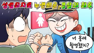 (사이다툰) 억울한 20대 남자 성범죄자로 몰아 간 경찰의 역대급 최후 /영상툰/썰툰/