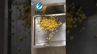 简单便宜好用的切菜机切丁机切片机vegetable and fruit cutter fruit dicer