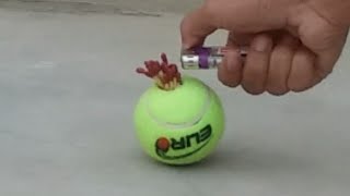 Experiment Match Vs Tennis Ball 2019