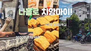 나홀로 치앙마이: 일단 2800원 국수부터 평일 야시장까지! 재미지네-(Ep.3)