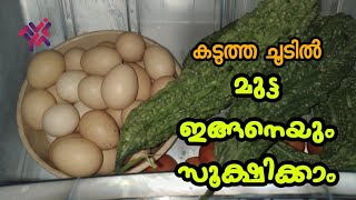 വേനൽക്കാലത്ത് മുട്ട കേടുവരാതിരിക്കാനുള്ള എളുപ്പവഴി | Easy Way to Keep Eggs in the Summer | Aviyal