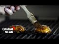 Would you eat lab-grown meat for dinner?