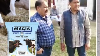 Customer Feedback- Sardar Cattle Feed.  Contact Now- 9814702948.