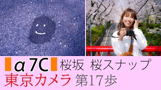 【SONY a7C】東京カメラ017『満開の桜坂、SONY α7Cで桜スナップ撮影』～桜坂 写真家/加藤ゆかの東京スナップ