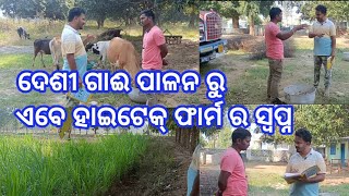 ଦେଶୀ ଗାଈ ପାଳନ ରୁ ହାଇଟେକ୍ ଫାର୍ମ ର ସ୍ଵପ୍ନ//Rampur dairy farm//#arunvillagelife