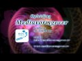 roc leiden mediavormgever promo