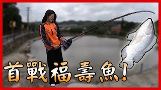 【亦起來釣魚 】國輝休閒釣魚池釣福壽魚，拿起魚竿穿好戰袍我們出發吧！