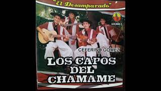 Por vos vendí mi vaquita - Los Capos del Chamamé