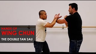 Training Tips -  The Double Tan Sau - Wing Chun, Kung Fu Report - Adam Chan