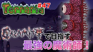 【Calamity Mod】壁の圧！！新たな装備でハードモードに挑む！テラリア 第47夜【Terraria 日本語化MOD導入版】