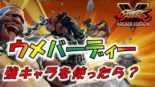 ウメハラ 強キャラバーディー を使うとこうなる！！www Daigo Birdie Season4【ストVAE★SF5AE】