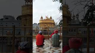 #gurusahib #goldentemple #wmk #sikhi #amritsar #gurupurab #khalsapanth