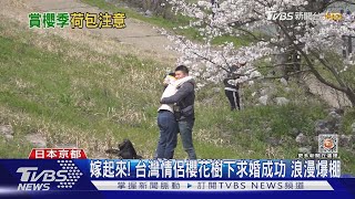 美爆! 嵐山小火車賞櫻吹雪.保津川整排櫻花樹｜TVBS新聞 @TVBSNEWS01