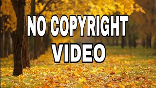 No copyright video for youtube | Nature | NCV