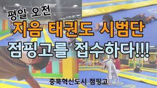 지음 태권도 시범단 점핑고를 접수하다??!?! [ 태권도ㅣ 시범단ㅣ 정핑고ㅣ 충북혁신도시 ]