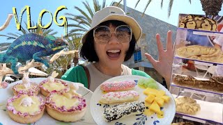 【週末Vlog】DIY奶醬泡芙、檸檬塔、韓式烤肉飯｜美國教會根本是小孩天堂！兩棲展看蛇跟蜥蜴