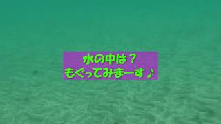 海水浴をまとめてみました！（和歌山・京都）①