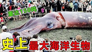 史上“最龐大”的10大海洋巨獸，第一名重達150噸，哥斯拉真實存在，一口吞掉滄龍|#地球最TOP#地球之最#世界之最#出類拔萃#腦洞大開＃前10名#藍鯨#滄龍#哥斯拉#海洋巨獸